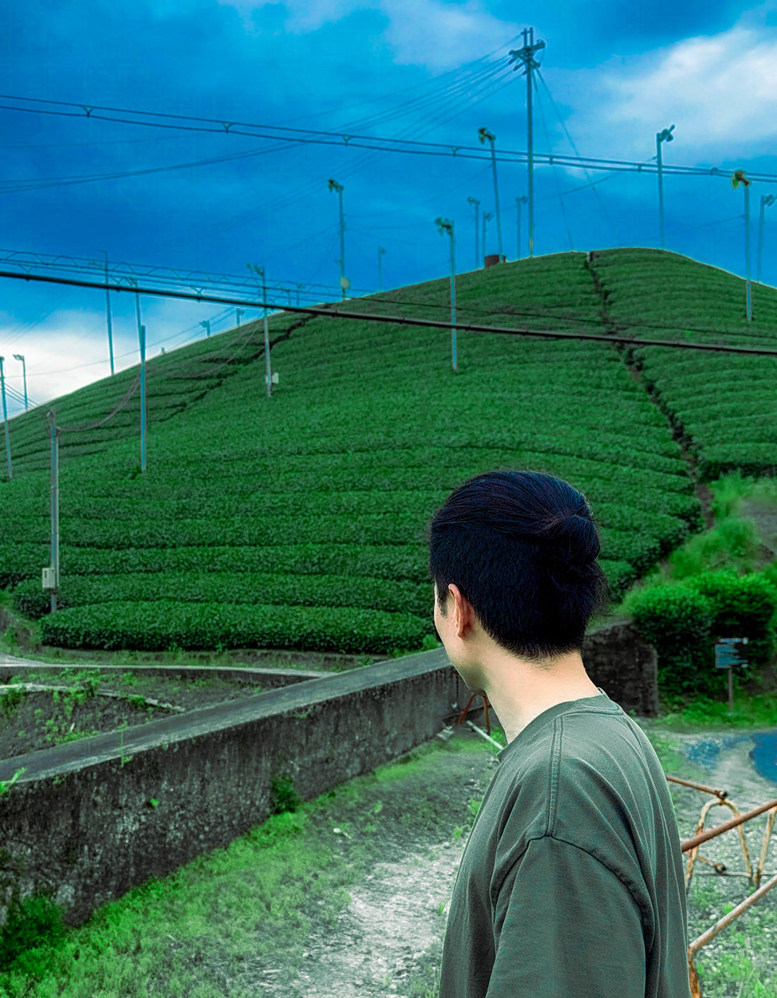 Matcha finally became popular!